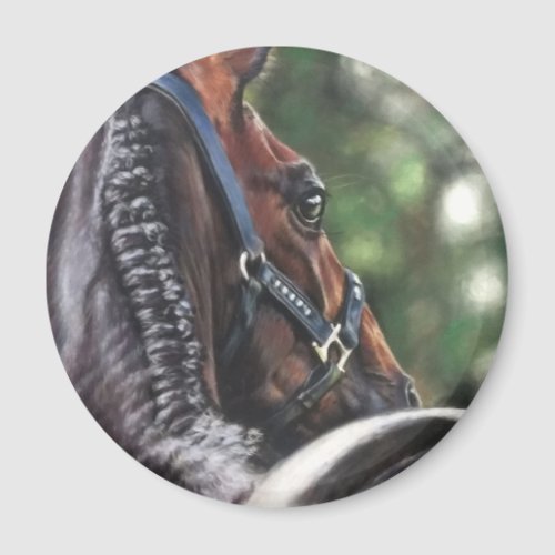 Bay Horse Thoroughbred Warmblood Dressage Jumper Magnet