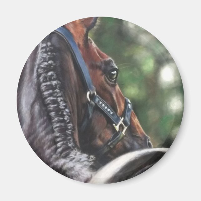 Bay Horse Thoroughbred Warmblood Dressage Jumper Magnet (Front)