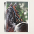 Bay Horse Thoroughbred Warmblood Dressage Jumper