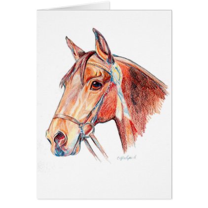 Bay Horse with Rosette Portrait Drawing Card