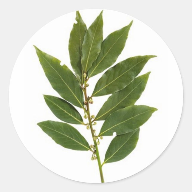 Bay leaves classic round sticker (Front)