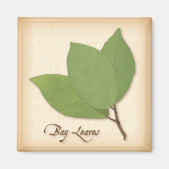Bay Leaves Magnet (Front)