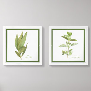 BAY LEAVES & OREGANO 12x12 Print Set + Border