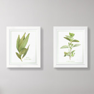 BAY LEAVES & OREGANO 8x10 Print Set 