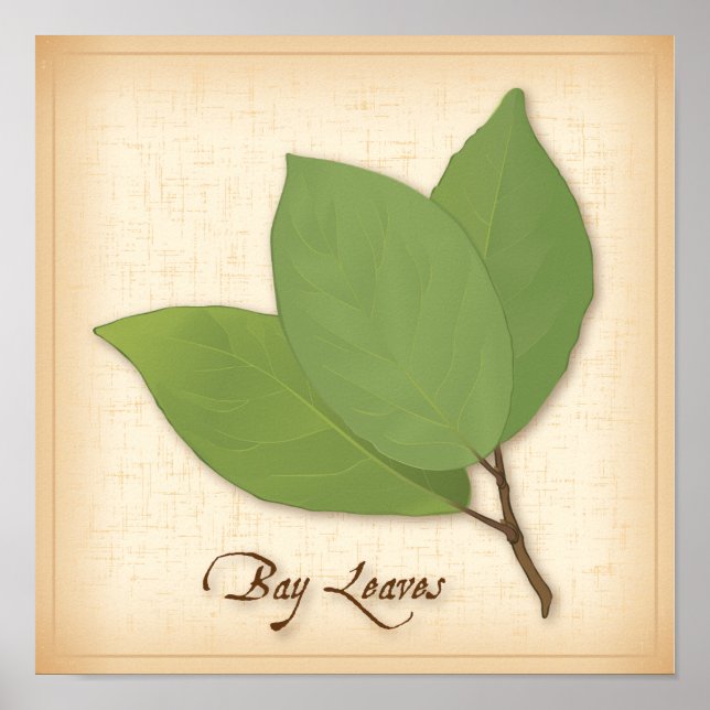 Bay Leaves Poster (Front)