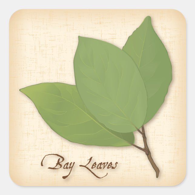 Bay Leaves Square Sticker (Front)