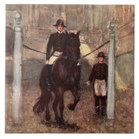 Bay Lipizzan Stallion Piaffe