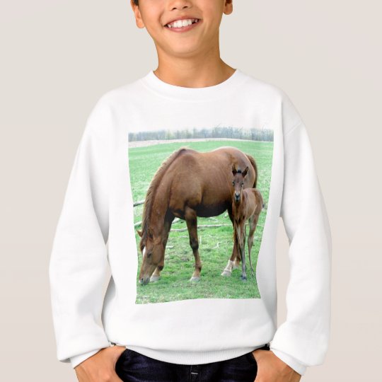 Bay Mare and Her Colt Sweatshirt
