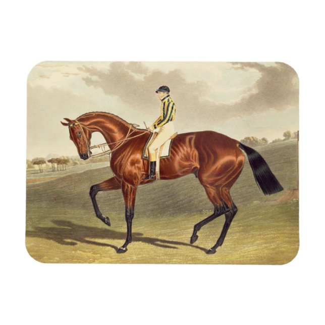 Bay Middleton, winner of the Derby in 1836, after Magnet (Horizontal)