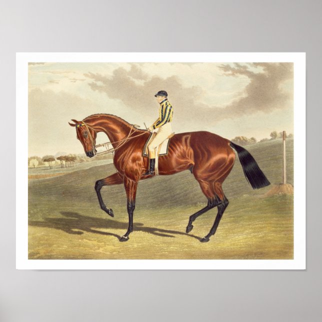 Bay Middleton, winner of the Derby in 1836, after Poster (Front)