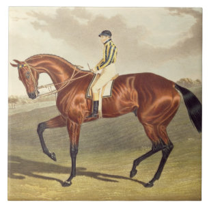 Bay Middleton, winner of the Derby in 1836, after Tile