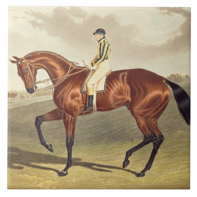 Bay Middleton, winner of the Derby in 1836, after Tile (Front)