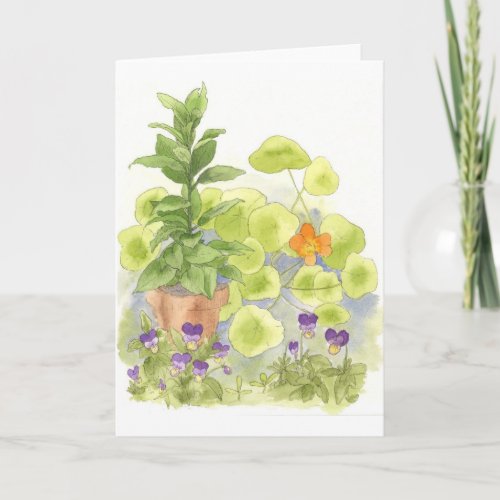 Bay Nasturtium Watercolor Flower Art Note Card