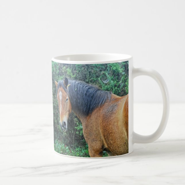 Bay New Forest Pony of Hampshire, England Coffee Mug (Right)