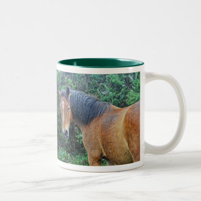 Bay New Forest Pony of Hampshire, England Two-Tone Coffee Mug (Right)