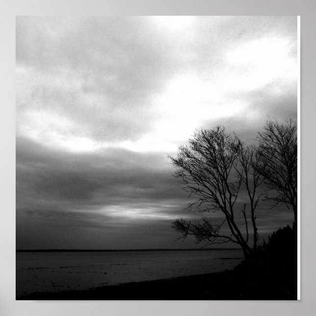 Bay Of Fundy Poster (Front)