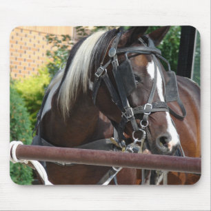 Bay Pinto Amish Buggy Horse Mouse Pad
