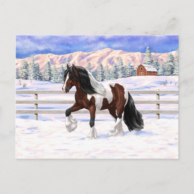 Bay Pinto Brown Skewbald Gypsy Vanner Tinker Horse Postcard (Front)