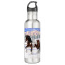 Bay Pinto Brown Skewbald Gypsy Vanner Tinker Horse Stainless Steel Water Bottle