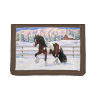 Bay Pinto Gypsy Vanner Draft Horse In Snow