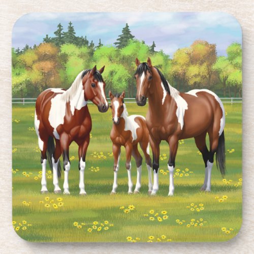 Bay Pinto Paint Quarter Horses In Summer Pasture Beverage Coaster