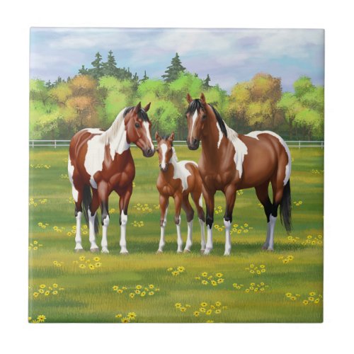 Bay Pinto Paint Quarter Horses In Summer Pasture Ceramic Tile