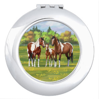 Bay Pinto Paint Quarter Horses In Summer Pasture Compact Mirror