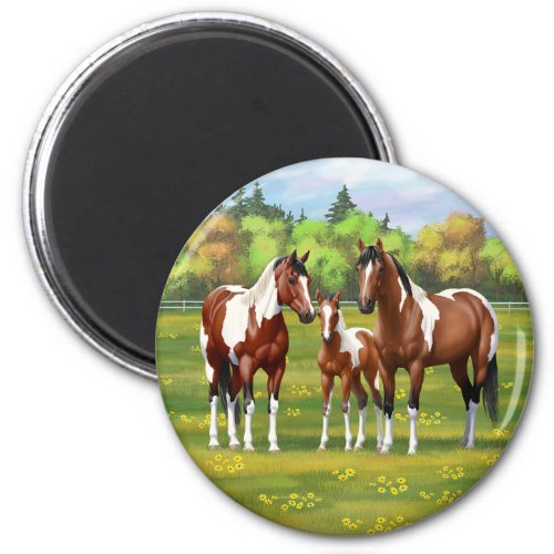 Bay Pinto Paint Quarter Horses In Summer Pasture Magnet