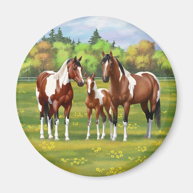 Bay Pinto Paint Quarter Horses In Summer Pasture Magnet (Front)
