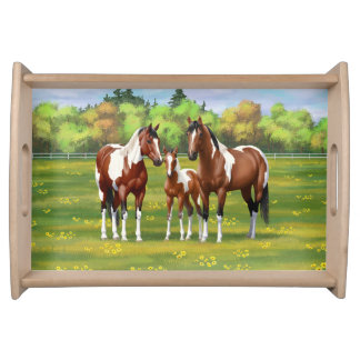 Bay Pinto Paint Quarter Horses In Summer Pasture Serving Tray