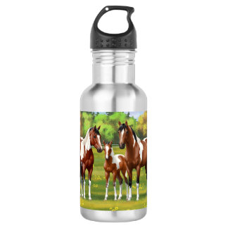 Bay Pinto Paint Quarter Horses In Summer Pasture Stainless Steel Water Bottle