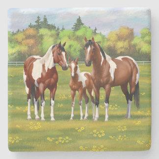 Bay Pinto Paint Quarter Horses In Summer Pasture Stone Coaster