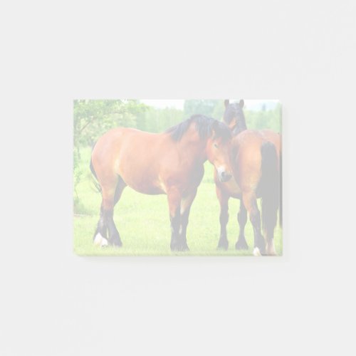 Bay Polish Bred Draft Horses In Lush Green Meadow Post_it Notes