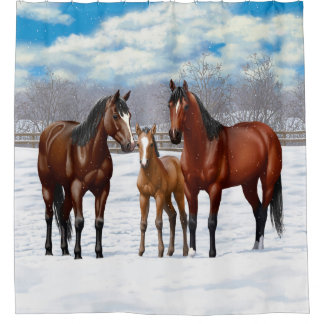 Bay Quarter Horses In Snow Shower Curtain
