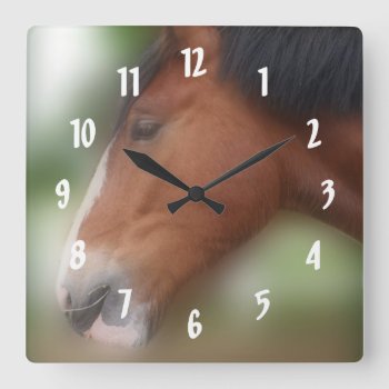Bay Shire Draft Horse Face Animal Square Wall Clock by SmilinEyesTreasures at Zazzle