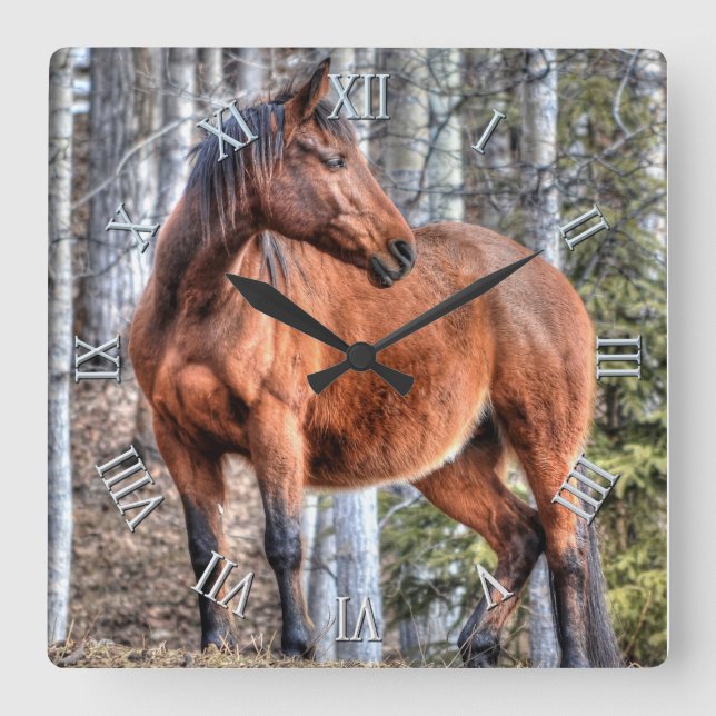 Bay Stallion Ranch Horse Standing in a Forest Square Wall Clock (Front)