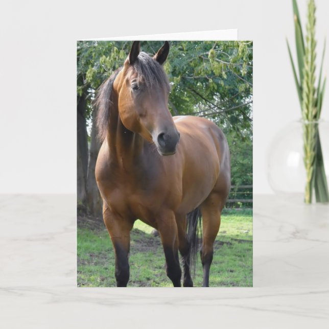 Bay Thoroughbred Horse Greeting Card (Front)