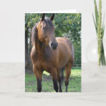 Bay Thoroughbred Horse Greeting Card