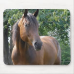 Bay Thoroughbred Horse Mouse Pad