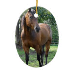 Bay Thoroughbred Horse Ornament