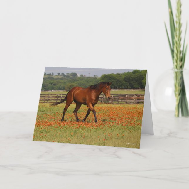 Bay Thoroughbred Horse Walking Flowers Card (Front)