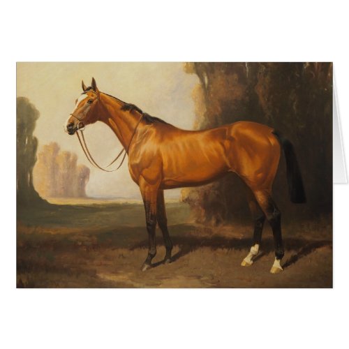 Bay Thoroughbred Vintage Painting by James Palmer