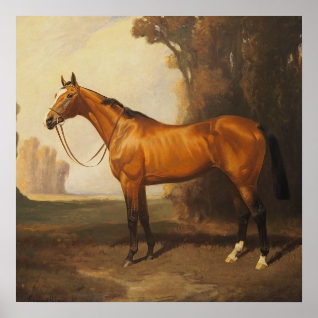Bay Thoroughbred Vintage Painting by James Palmer Poster (Front)