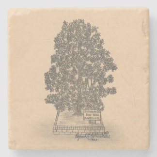 BAY TREE MARBLE STONE COASTER