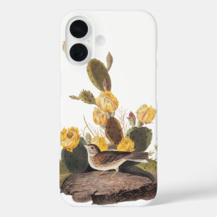 Bay-Winged Bunting Audubon Audubon Bird iPhone 16 Case
