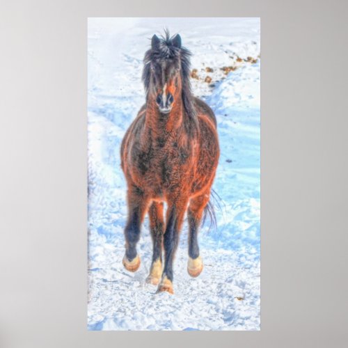 Bay Winter Horse Year of the Horse Equine photo Poster