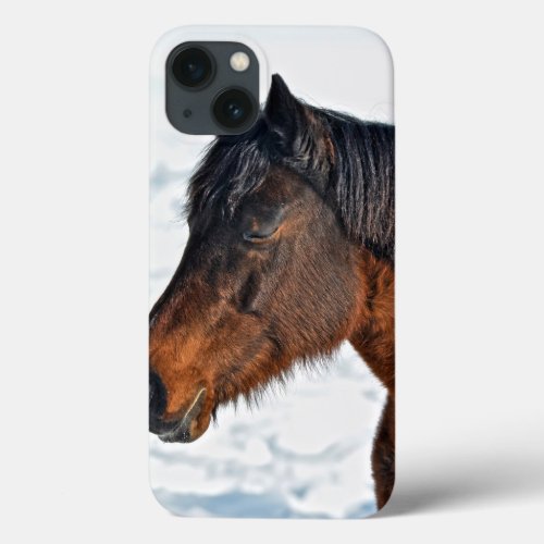 Bay Winter Mare Year of the Horse Equine Photo iPhone 13 Case