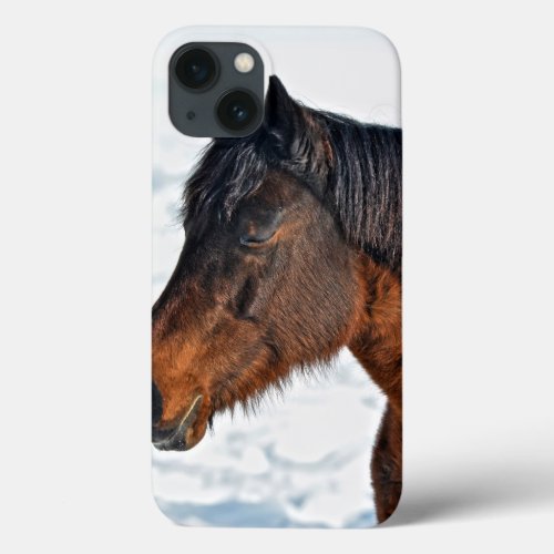 Bay Winter Mare Year of the Horse Equine Photo iPhone 13 Case
