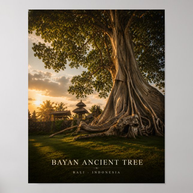 Bayan Ancient Tree Bali Poster (Front)