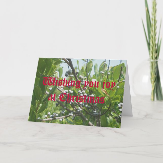 Bayberry Christmas Card (Front)